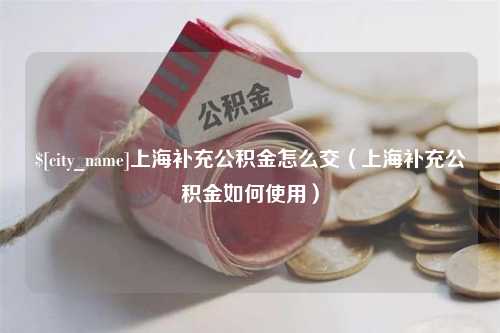 邹城上海补充公积金怎么交（上海补充公积金如何使用）